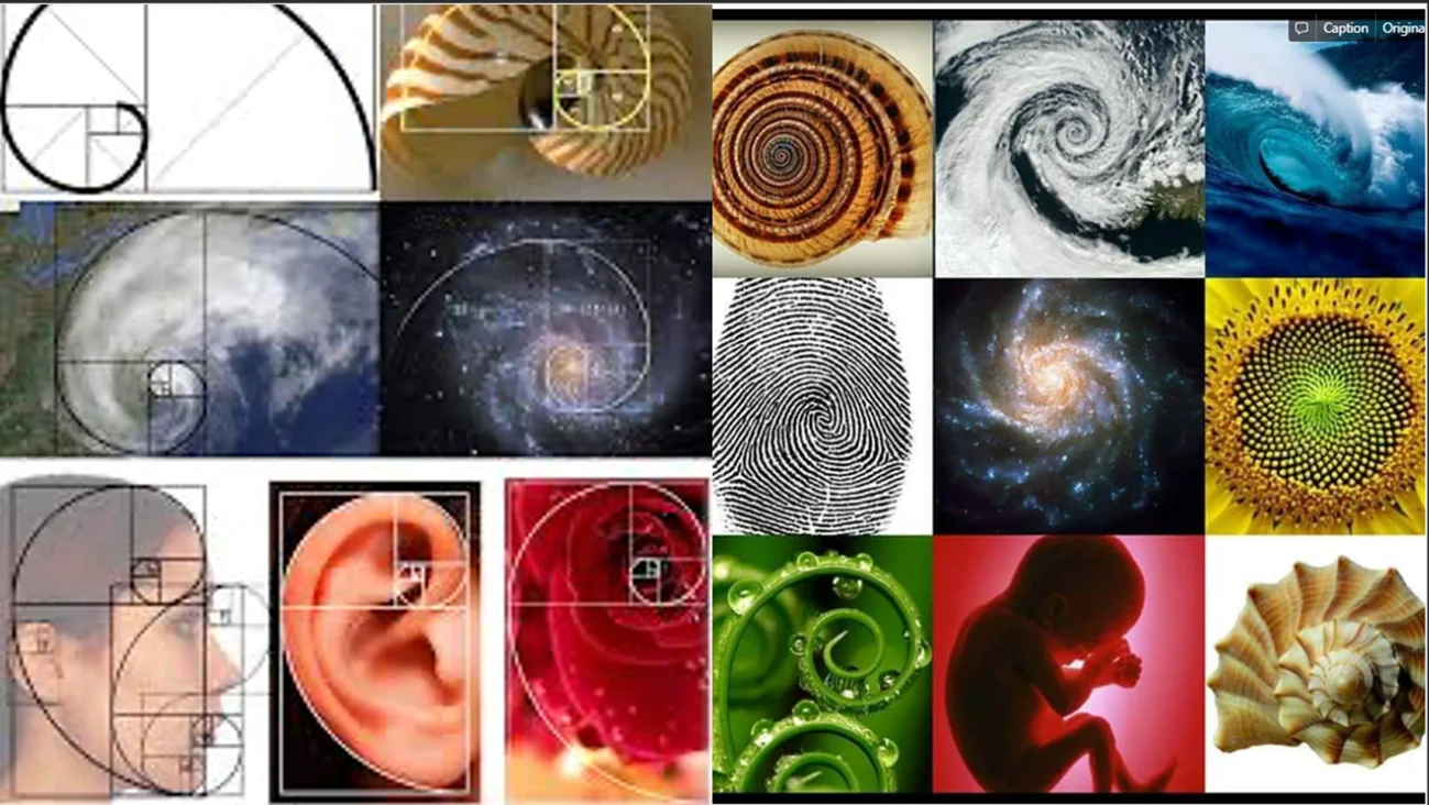 A natureza do universo