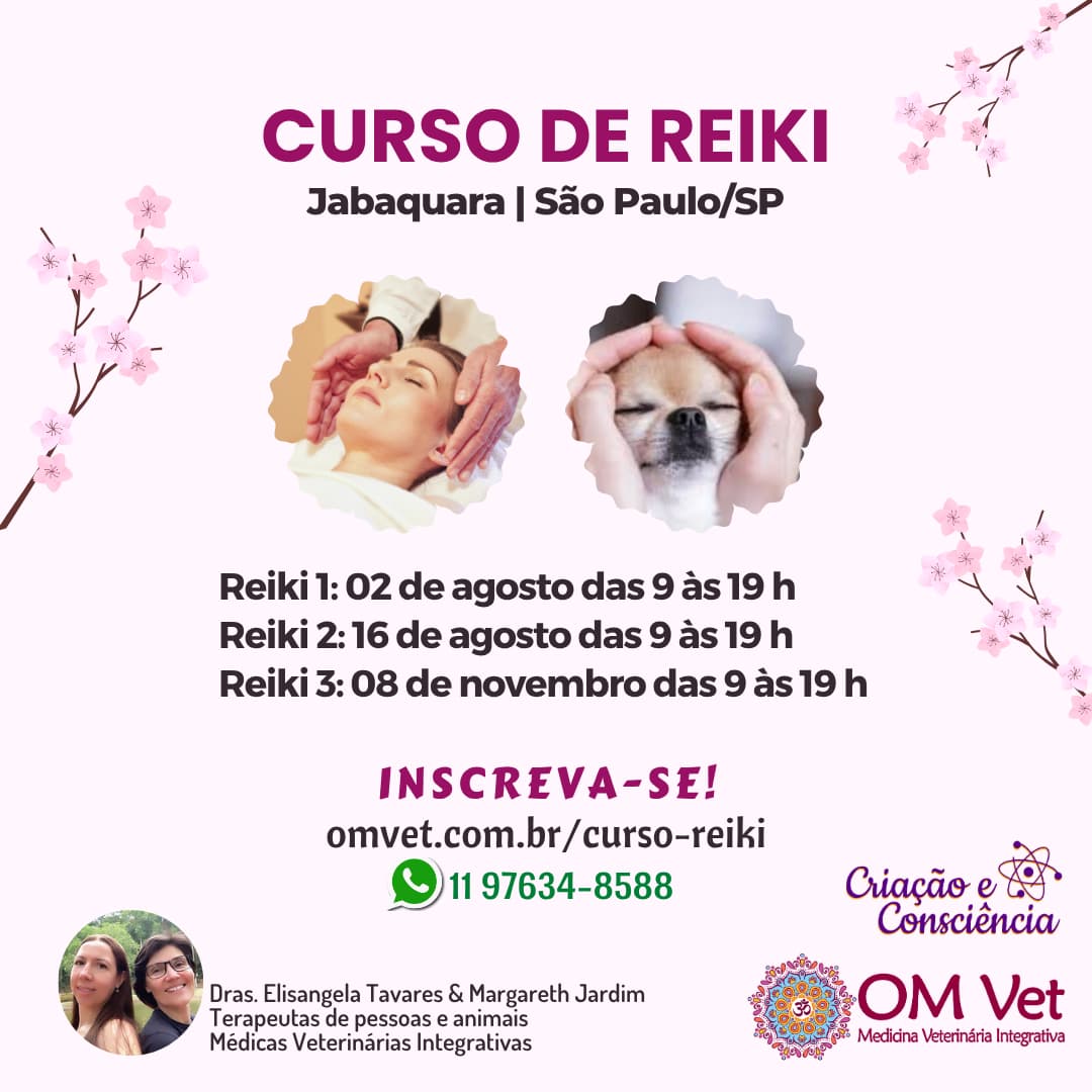 Curso Reiki